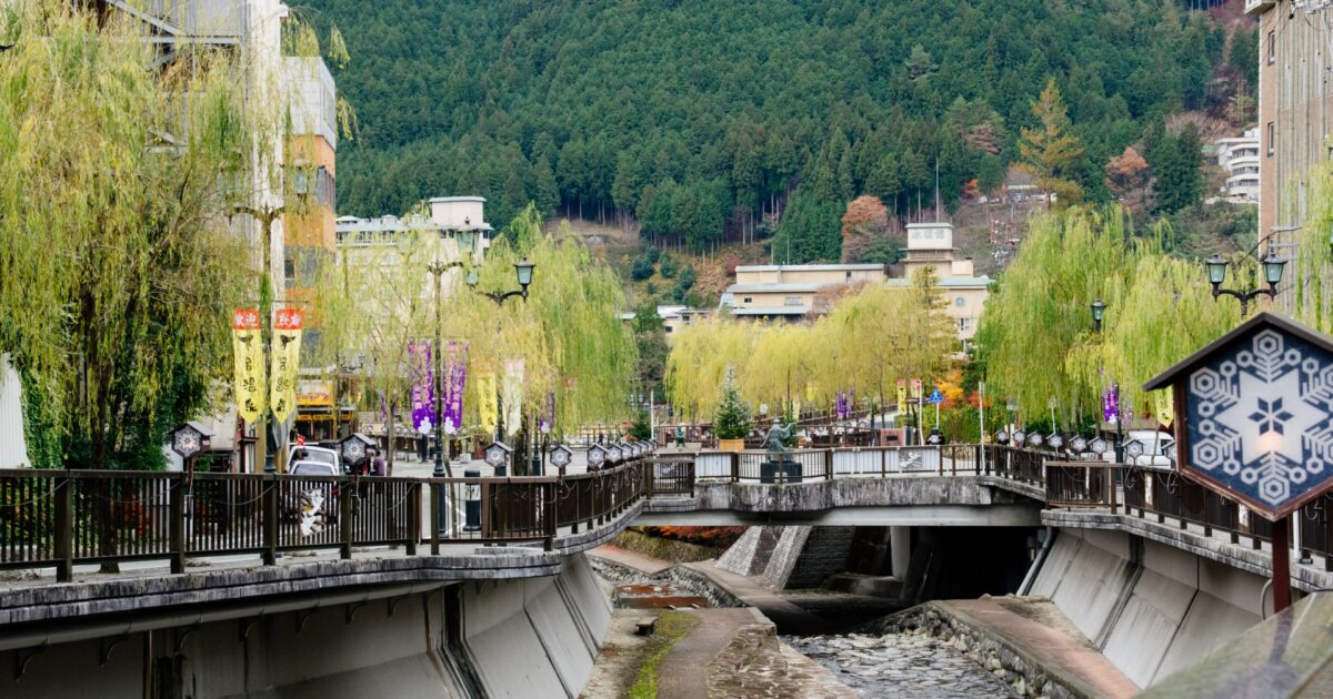 柳並木と温泉街が続く下呂温泉の街並み