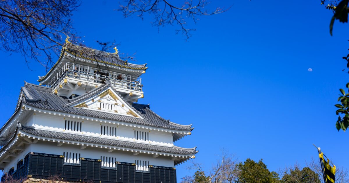 青空に映える岐阜城の天守閣と石垣