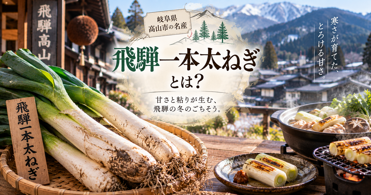 岐阜県高山市で栽培されている野菜「飛騨一本太ねぎ」とは？甘さと粘りを楽しむ食べ方と旬の時期を解説！