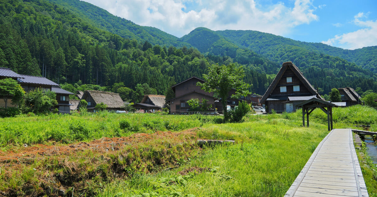 木道と田園が広がる夏の白川郷の風景