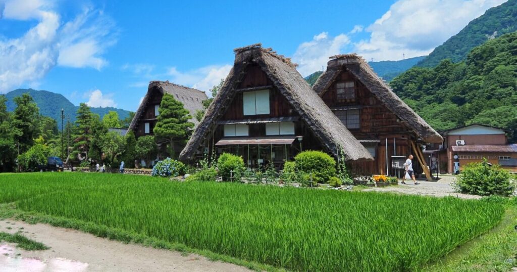 青空に映える白川郷の合掌造りと緑の田んぼ