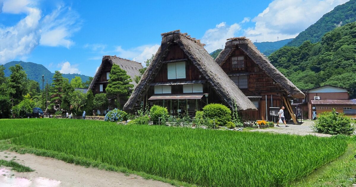 青空に映える白川郷の合掌造りと緑の田んぼ