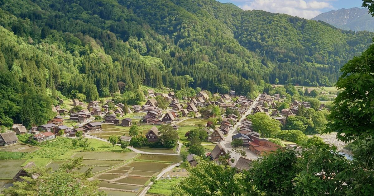 展望台から見下ろす白川郷の合掌造り集落と棚田