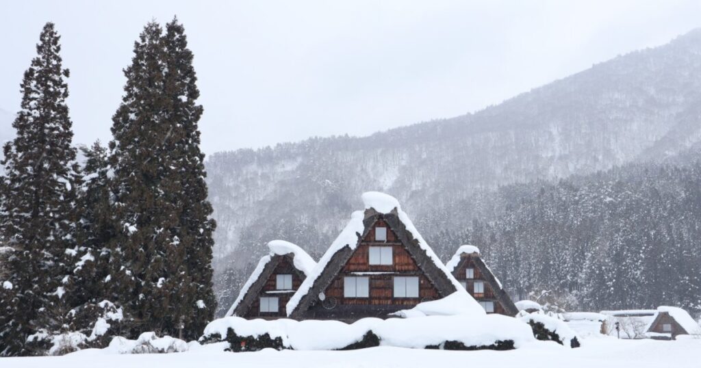 雪に覆われた白川郷の合掌造りと針葉樹林