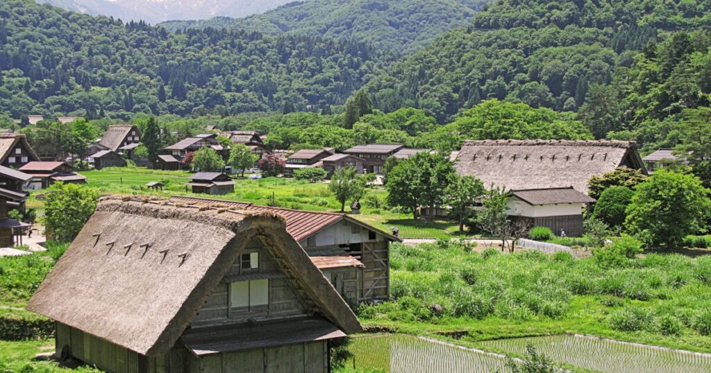 田園と山々に囲まれた夏の白川郷の合掌造り集落
