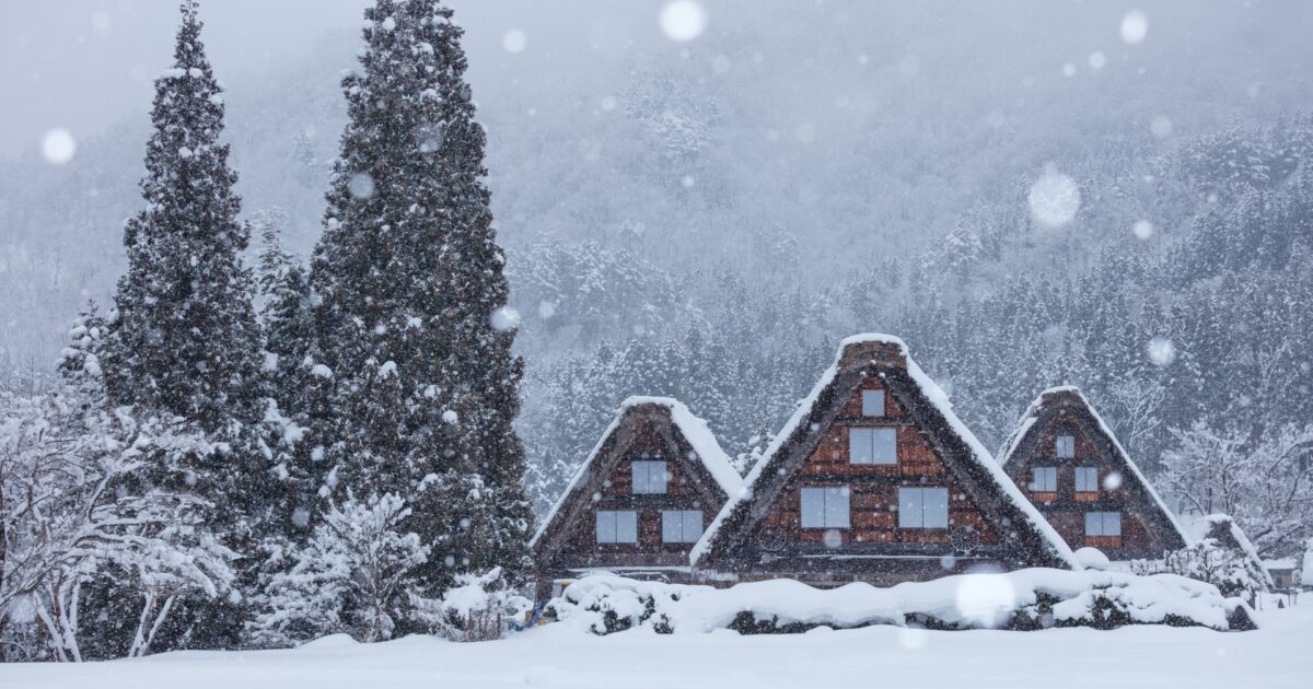 雪が降り積もる白川郷の合掌造りと針葉樹林