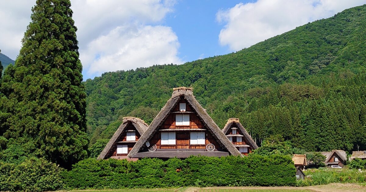 緑豊かな山間に建つ白川郷の合掌造り家屋