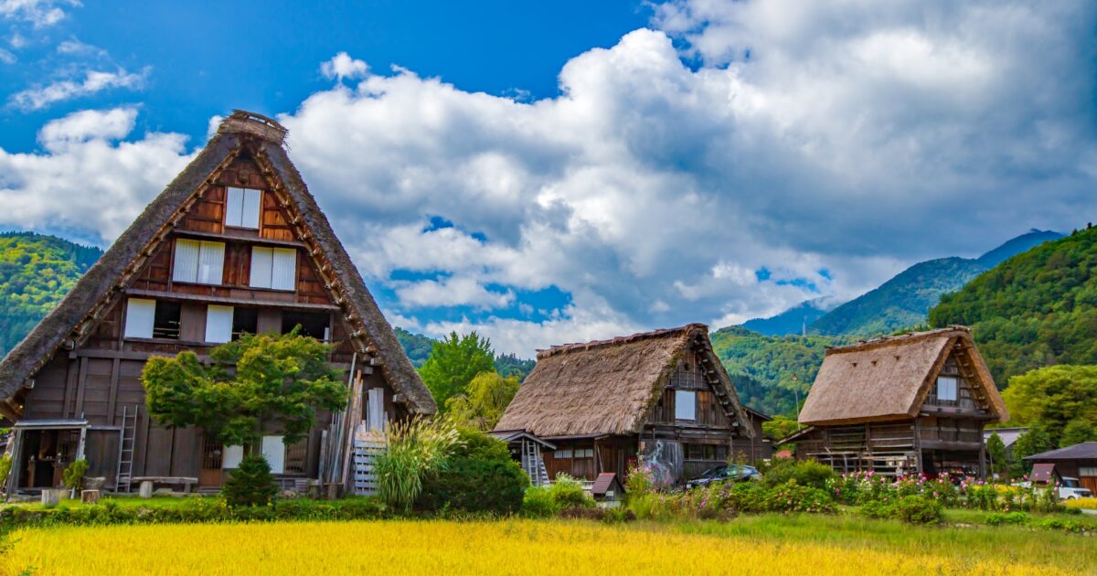 黄金色の稲穂と白川郷の合掌造り家屋